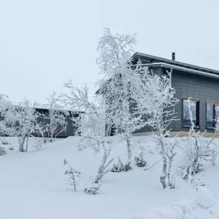 Villa Viima