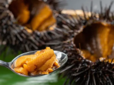 Marumine Kanko Hotel Hotel di Aizuwakamatsu