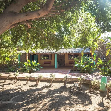 Hotel Oasis