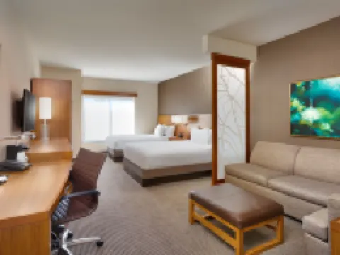 蘭辛東凱悦嘉軒酒店 蘭辛酒店