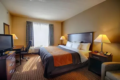 Comfort Inn & Suites Near Lake Lewisville
