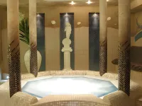 Hotel Wawel Hotels in Krakova