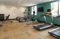 Holiday Inn Express GRAND ISLAND - NIAGARA FALLS by IHG - Gym