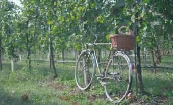 Agriturismo Da Zeffi