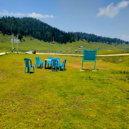 Hotel Green Park Gulmarg Отели в г. Baramulla