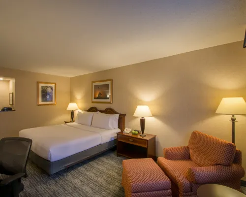 Holiday Inn ARLINGTON AT BALLSTON by IHG Kamar Photos