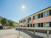 Tulipano