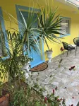 Casa Celeste. Fenced Back Yard. Close to Boat Ramp. Children and Dog Friendly.