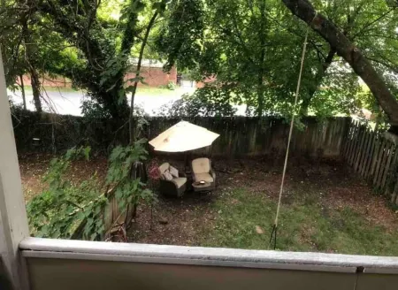 WonderClock House downtown vintage duplex w/ porches, steps to Handley Library