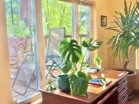 Heaven on Earth Retreat's Sun Studio in Prescott's Gorgeous Granite Dells - 4-Star