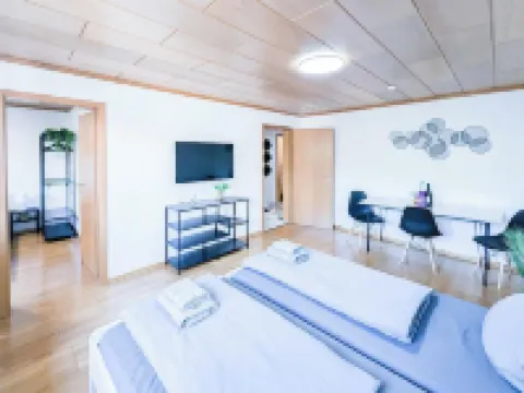 ALFA Stuttgart 3BR 6people Bosch/Porsche INET WIFI