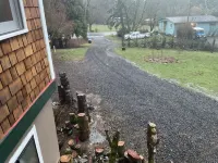 Cozy Blueberry Cottage Studio King Bed, Kitchenette, Hotels in Stevenson