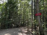 Cozy cottage in woodland setting near to hiking biking and lakes Hotels in Lincolnville