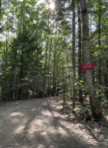 Cozy cottage in woodland setting near to hiking biking and lakes
