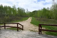 Your Adventure Begins the Second You Arrive!