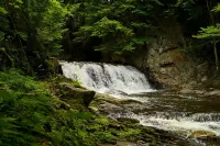 Beautiful Cedar Chalet Overlooking Jay Branch