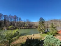 River Dreams- Serene Retreat close to Parkway but peaceful and quiet.