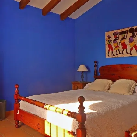 Stylish Andalusian country house with pool in olive grove facing the sea