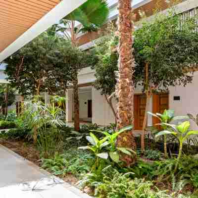 Hilton Cabo Verde Sal Resort Hotel Exterior