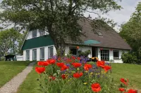 bright apartment in a secluded location with a view of nature, pets welcome