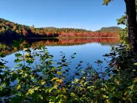 Toddy's camp on the pond