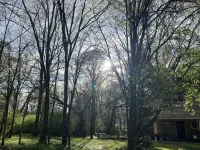 Unique TreeLoft with 360° views of treetops. Near Natchez Trace and Reservoir.