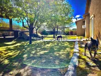 5 Acre Horse Ranch next to University.