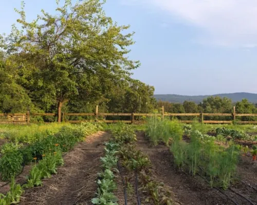 Spectacular Views! Large Home on 63 Acre Farm Ξενοδοχεία στην πόλη Marbletown