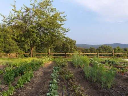 Spectacular Views! Large Home on 63 Acre Farm