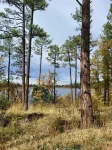 Beautiful Large cabin on 1/4 acre w/covered decks
