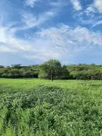New Vintage Trailer on 40 acre horse ranch close to wineries and fun outings.