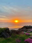 Cottage by the Sea Aug. 9-13 Available
