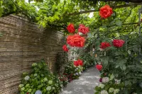 VILLA LA NATURA x6 WITH GARDEN AND FREE PRIVATE PARKING