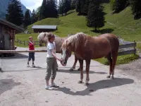 Vacation apartment w/quality furnishing Các khách sạn ở Fischen