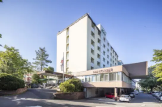 Best Western Plus Hotel Steinsgarten