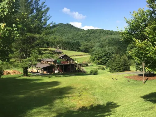 Tree House on Little Peak Creek Farm!