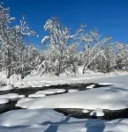 Secluded pet friendly cabin on 40 acres with frontage on the Kettle River