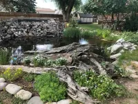 Cabin #1 - Backyard Bunkhouse