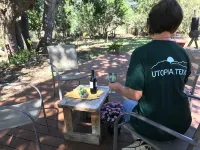 Secluded Ranch Cabin Between Garner and Lost Maples