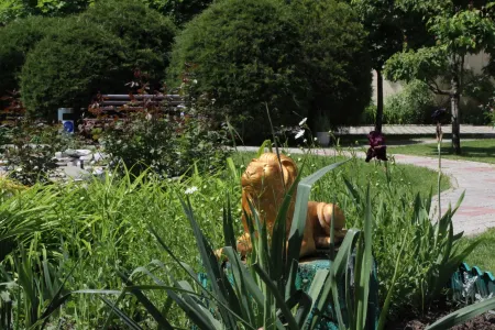 Золотой Лев