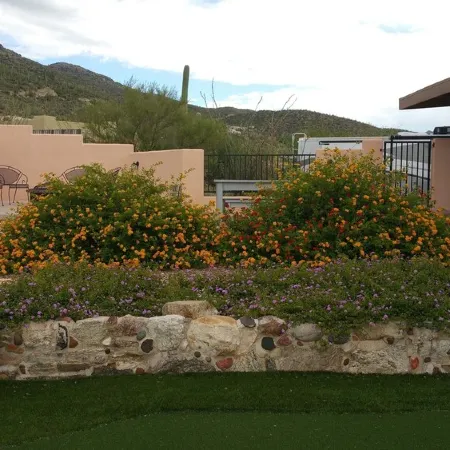 AWESOME Sunsets by the Heated Pool, putting green, hot tub & Tucson Night Lights