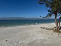 Totally Remodeled Beachfront Studio-Step out your door onto the sand. Really! D