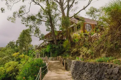 Alam Caldera Kintamani Các khách sạn ở Kintamani