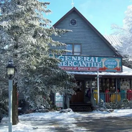 Cozy 2-bedroom condo in charming Beech Mountain with ski slope & mountain views!