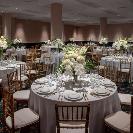 Graduate by Hilton Fayetteville, AR