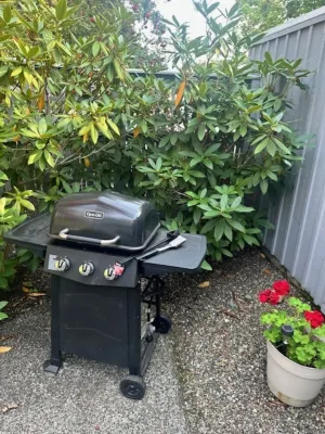 Semiahmoo Beach Retreat Amazing Views!