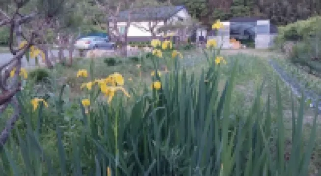 Gangjin Sandeul Farm Pension