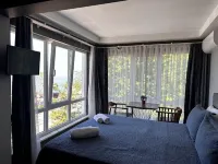 Lion Boutique Hotel Hotels in Teşvikiye Belediyesi