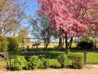 Holiday Home in Donkerbroek Near Forest Trails Hotels in Ooststellingwerf