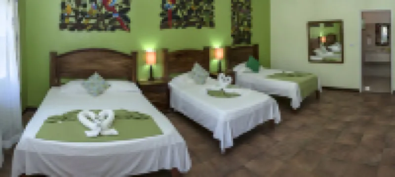 Caribbean Paradise Eco-Lodge Hotel di 